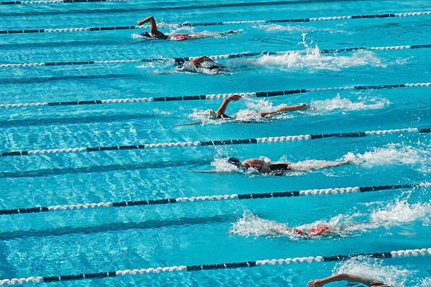 Competitive Swimming Training